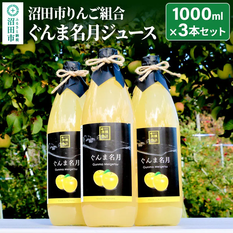 [2027年1月中旬〜2月上旬発送]沼田市りんご組合 ぐんま名月ジュース(ストレート)1000ml×3本セット [林檎 りんご リンゴ ぐんま名月] 群馬県沼田市