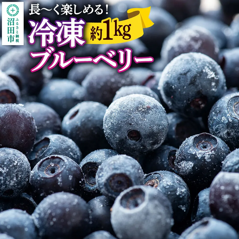 冷凍ブルーベリー 約1kg【群馬県沼田市利根町産】 [季節を問わずブルーベリーを楽しめます！ 新鮮 冷凍 ブルーベリー 長期保存 料理 スイーツ 栄養満点 ビタミン 食物繊維 スムージー ジャム フルーツ 果物] 群馬県沼田市