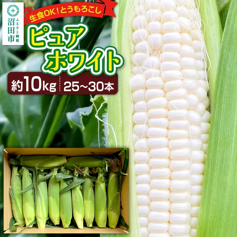 《7月下旬〜9月中旬発送》とうもろこし ピュアホワイト 約10kg（25〜30本）