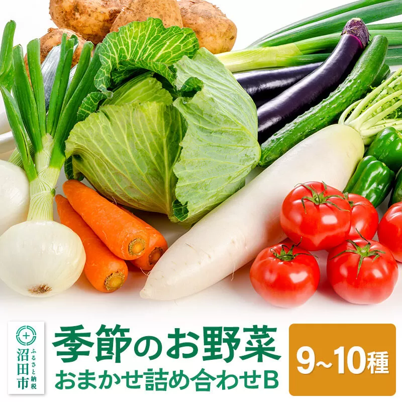 季節のお野菜 おまかせセット B（9〜10種類）詰め合わせ [【野菜セット】お任せ おまかせ 野菜 やさい ヤサイ 詰め合わせ セット] 群馬県沼田市
