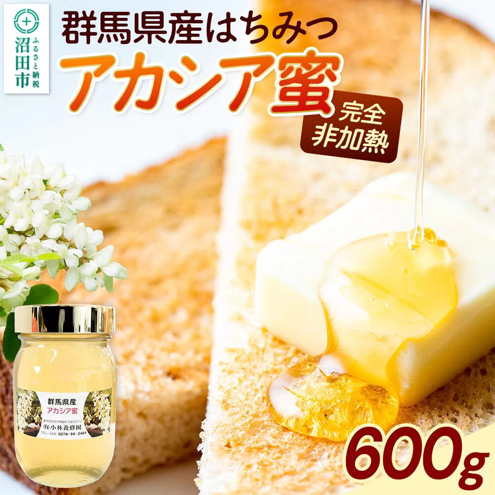 群馬県産アカシアはちみつ 600g [蜂蜜 はちみつ ハチミツ] 群馬県沼田市