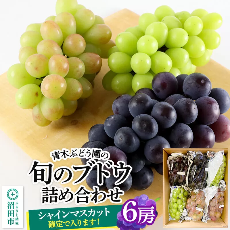 《9月上旬〜下旬発送》青木ぶどう園の旬のブドウ詰め合わせ 6房 [お任せ おまかせ 葡萄 ぶどう ブドウ 群馬県 沼田市 シャインマスカット フルーツ くだもの 果物 詰め合わせ] 群馬県沼田市