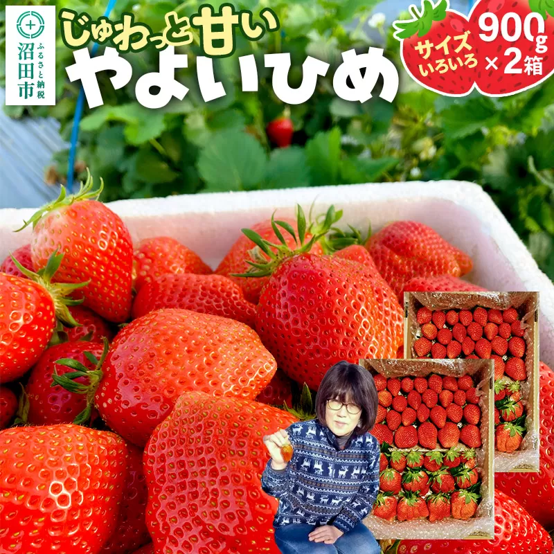 じゅわっと甘い！サイズいろいろ「やよいひめ」約1800g（約900g×2箱／梱包込）山口いちご園