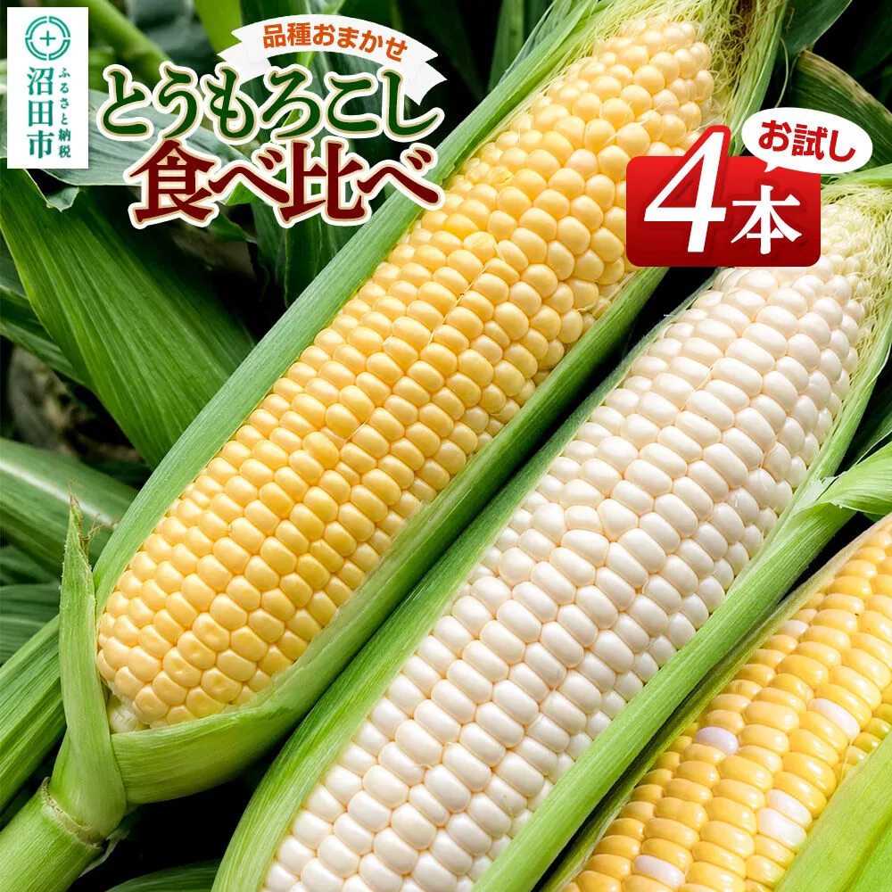 《7月下旬〜9月上旬発送》とうもろこし食べ比べ お試し4本セット 山口いちご園 群馬県沼田市