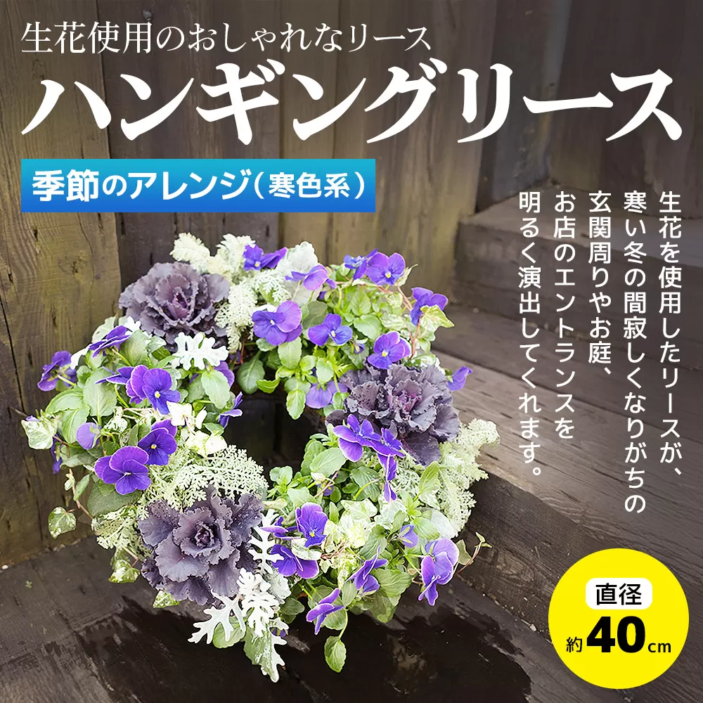 ハンギングリース　季節のアレンジ (寒色系) 直径約40cm【生花 ビオラ インテリア 玄関 バスケット 寄せ植え プレゼント 贈り物】 群馬県板倉町