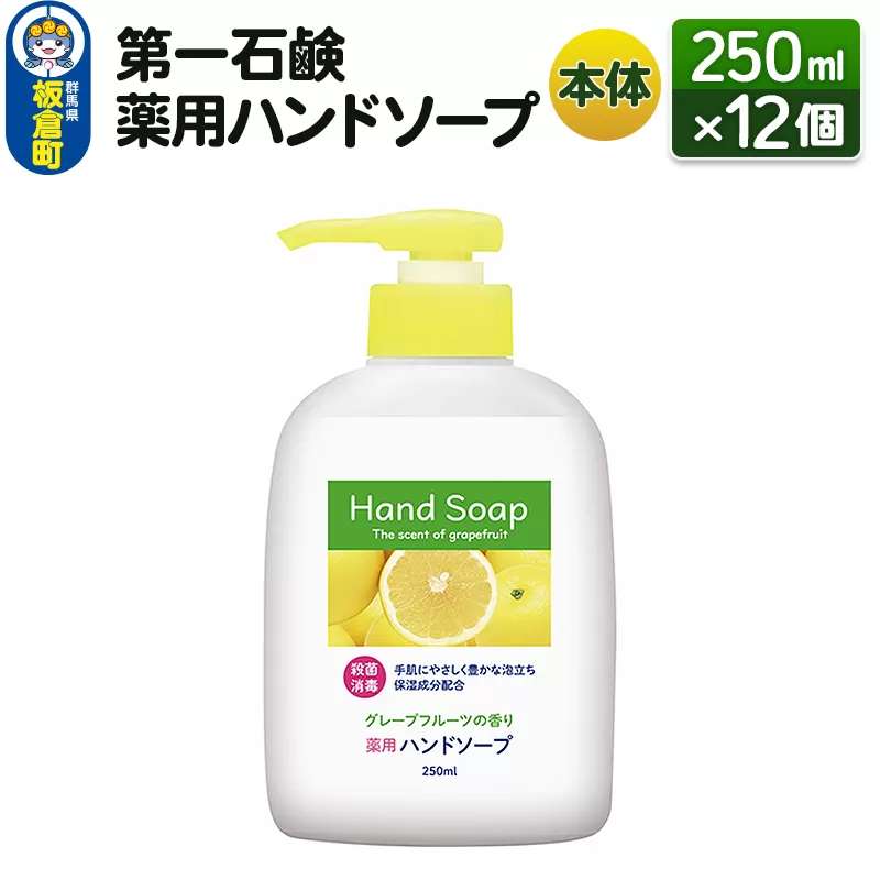 第一石鹸 薬用ハンドソープ 本体 250ml×12個
