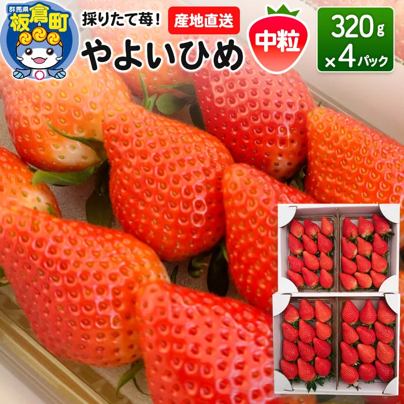 いちご(やよいひめ)中粒 4パック 採りたて苺!産地直送 イチゴ ストロベリー 生 群馬県板倉町