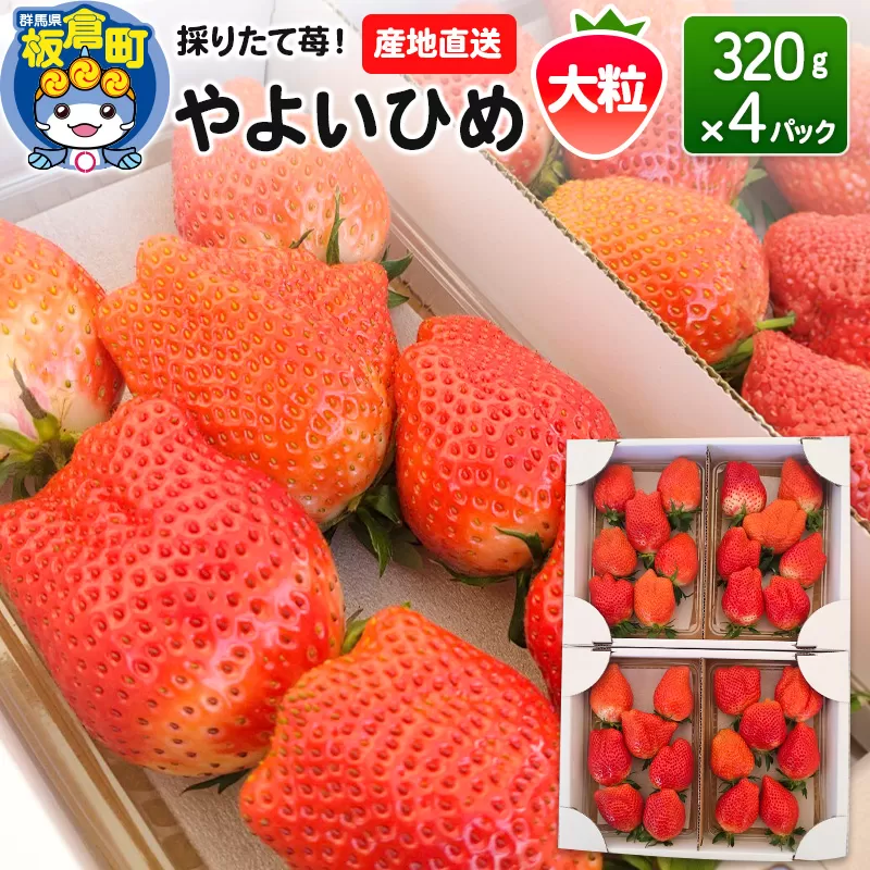いちご(やよいひめ)大粒 4パック 採りたて苺!産地直送 イチゴ ストロベリー 生 群馬県板倉町