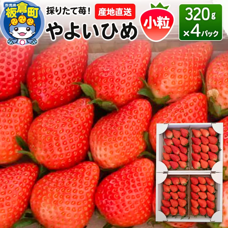 いちご(やよいひめ)小粒 4パック 採りたて苺!産地直送 イチゴ ストロベリー 生 群馬県板倉町