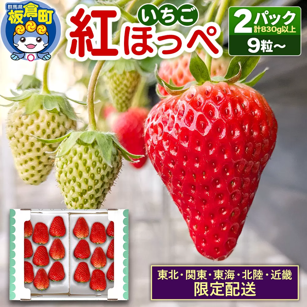 [東北・関東・東海・北陸・近畿 限定配送]いちご「紅ほっぺ」9粒〜 (2パック計830g以上)[12月中旬から順次発送]イチゴ 苺 あまい 1粒35g以上の特大粒を厳選 産地直送ならではの大きさと赤さ 一般市場には流通しない厳選のいちご 数量限定 群馬県板倉町