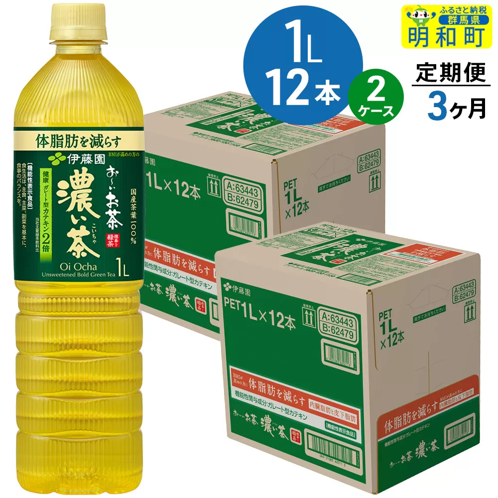《定期便3ヶ月》お〜いお茶 濃い茶 伊藤園 ＜1L×12本＞【2ケース】