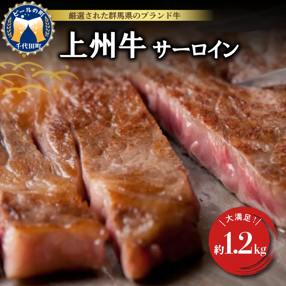 牛肉 サーロイン 【上州牛】 約1.2kg (約200g×6枚) 群馬県 千代田町
