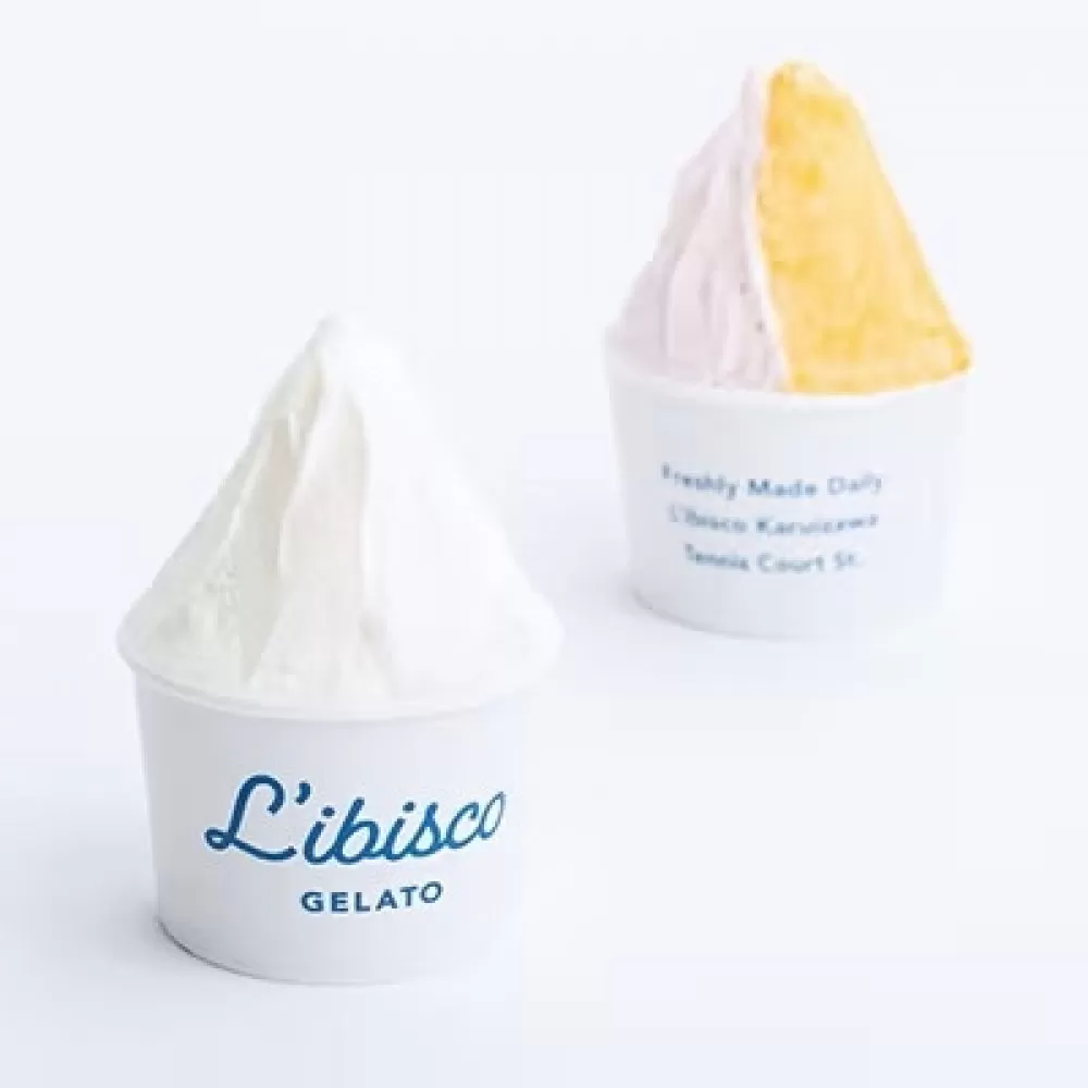 リビスコ川越店　ジェラート6個セット