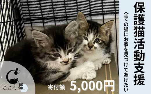 【ふるさと納税】＜お礼の品なし＞保護猫活動支援〜野良猫から地域で見守るさくら猫に〜 寄付額5,000円