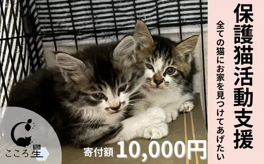 【ふるさと納税】＜お礼の品なし＞保護猫活動支援〜野良猫から地域で見守るさくら猫に〜 寄付額10,000円