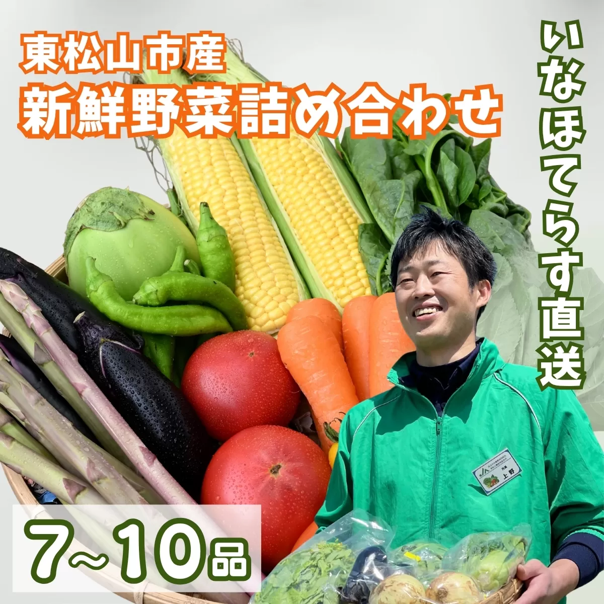 季節の野菜詰合せセット 7~10品 | 野菜 野菜セット 詰め合わせ 季節 旬 新鮮野菜 かぶ レタス キャベツ のらぼう菜 トマト オクラ 玉ねぎ ニンニク きゅうり ナス ニンジン ネギ ズッキーニ インゲン バラエティ バラエティーセット 自然 いなほてらす 埼玉県 東松山市
