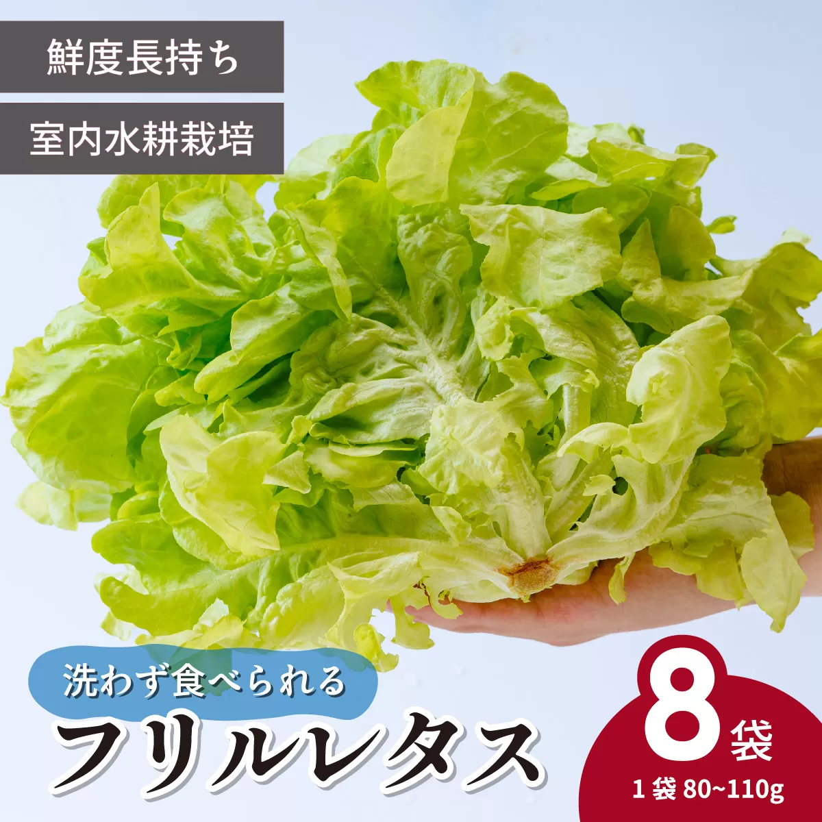 ＜洗わず食べられる・室内水耕栽培＞ フリルレタス 8袋(80～110g/袋) | レタス 洗わずに食べられる 新鮮レタス オーガニック野菜 無農薬 野菜直送 フレッシュ サラダ用野菜 健康志向 こだわり フレッシュ 産地直送 食品ギフト セット 緑黄色野菜 新鮮 安心野菜 旬 低カロリー レタスボウル カロテン 埼玉県 東松山市