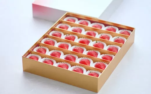 【先行予約】とちおとめ 特別贈答用 まなこころ・煌(850g【30〜36粒】) | とちおとめ トチオトメ イチゴ 苺 いちご きらめき 新鮮 中粒 箱 真心農園 果物 フルーツ 自然 甘い 美味しい ジューシー ビタミン おいしい おすすめ 贈り物 ギフト 埼玉県 東松山市