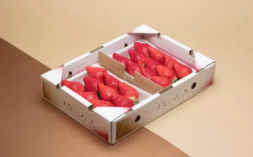 【先行予約】とちおとめ【2パック×280g】まなこころ・楓 | とちおとめ トチオトメ イチゴ 苺 いちご かえで 新鮮 中粒 箱 2P 真心農園 果物 フルーツ 自然 甘い 美味しい ジューシー ビタミン おいしい おすすめ 贈り物 ギフト 埼玉県 東松山市