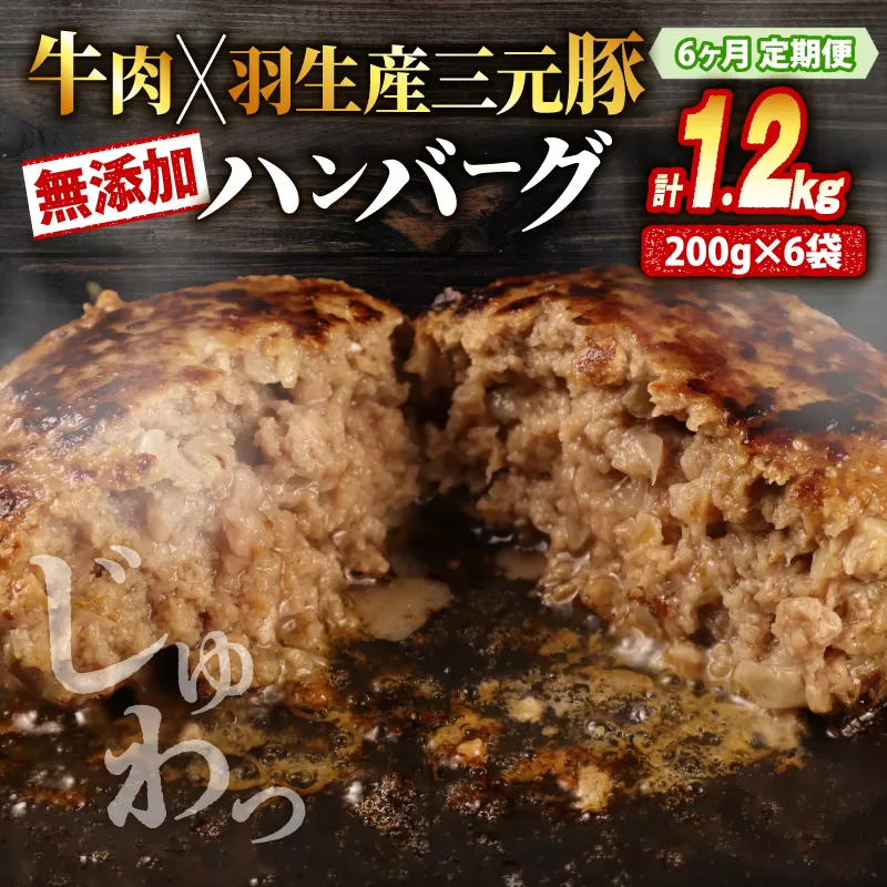 【定期便】 6回 ハンバーグ 1.2kg 計7.2kg 牛肉 豚肉 合挽き 冷凍 小分け 真空 個包装 大容量 大きめ 肉汁 たっぷり 保存料 不使用 無添加 淡路島 玉ねぎ ビーフ ポーク 牛 豚 肉 合いびき肉 挽肉 お弁当 おかず 惣菜 晩ごはん おつまみ お取り寄せ ごはんのお供 贅沢 ギフト お中元 お歳暮 贈り物 贈答