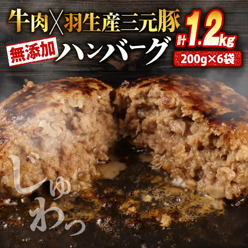 ハンバーグ 1.2kg 牛肉 豚肉 合挽き 冷凍 小分け 真空 個包装 大容量 大きめ 肉汁 たっぷり 保存料 不使用 無添加 淡路島 玉ねぎ ビーフ ポーク 牛 豚 肉 合いびき肉 挽肉 お弁当 おかず 惣菜 晩ごはん おつまみ お取り寄せ ごはんのお供 贅沢 ギフト お中元 お歳暮 贈り物 贈答