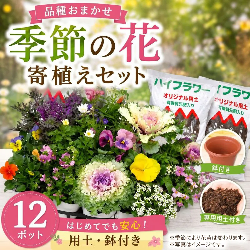 寄せ植え 花 季節のお花 12ポット 用土 鉢 付き ガーデニング プレゼント 育成セット 日用品 園芸 花苗 おすすめ セット 母の日 季節 お花 贈り物 農事組合法人ハイフラワー 埼玉県 羽生市