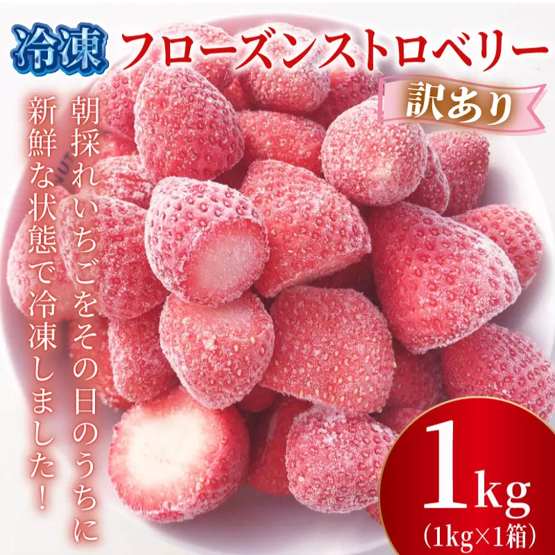 訳あり 冷凍 いちご 1kg フローズン ストロベリー 産地直送 ご当地 苺 果物 くだもの フルーツ デザート よつぼし 紅ほっぺ かおり野 恋みのり おいCベリー 食品 げんき農場 埼玉県 羽生市
