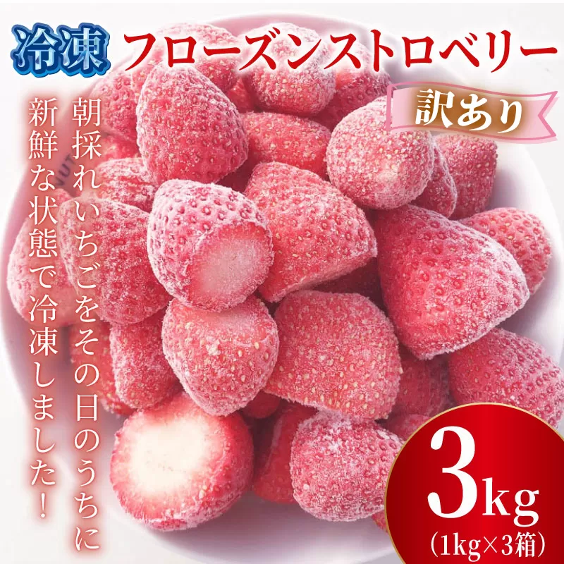 訳あり 冷凍 いちご 3kg フローズン ストロベリー 産地直送 ご当地 苺 果物 くだもの フルーツ デザート よつぼし 紅ほっぺ かおり野 恋みのり おいCベリー 食品 げんき農場 埼玉県 羽生市