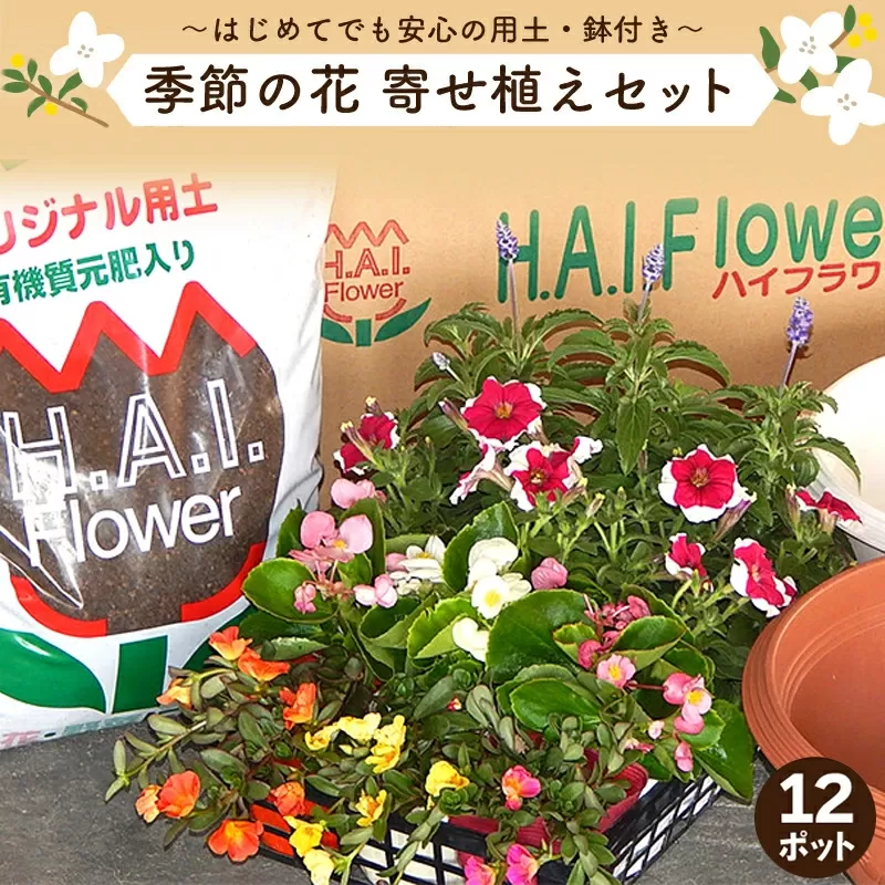 寄せ植え 花 季節のお花 12ポット 用土 鉢 付き ガーデニング プレゼント 育成セット 日用品 園芸 花苗 おすすめ セット 母の日 季節 お花 贈り物 農事組合法人ハイフラワー 埼玉県 羽生市