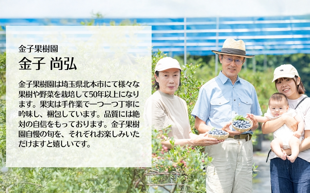 ブルーベリー 冷凍 2袋 (500g✕2) 計 1kg | 国産 大粒 冷凍