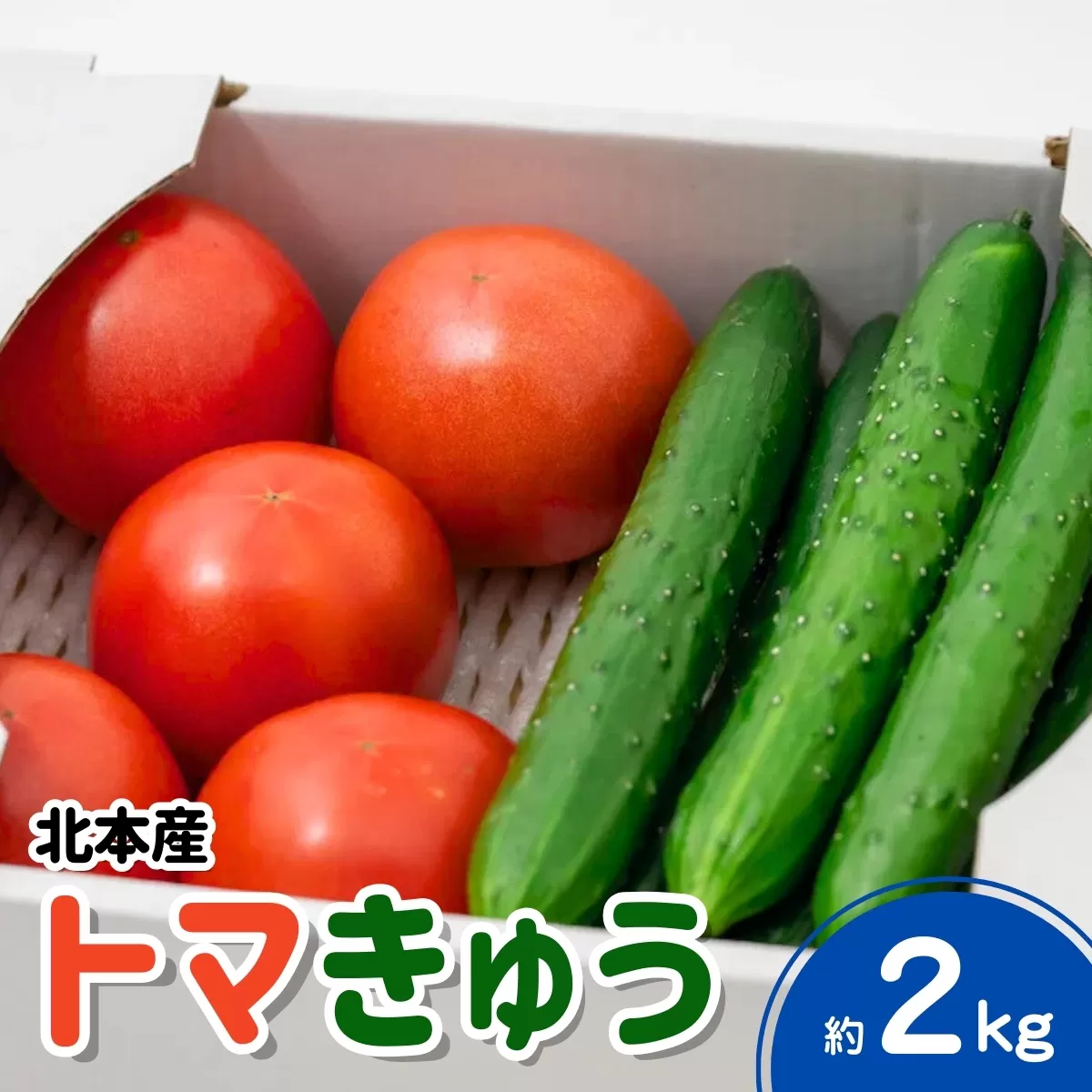 トマト きゅうりセット 計約2kg | とまと キュウリ tomato 胡瓜 国産 野菜 野菜セット 旬の野菜 野菜詰め合わせ 詰め合わせ つめあわせ 旬 季節限定 産直 産地直送 新鮮 採れたて 獲れたて 産地直送 ベジタブル ヘルシー 健康 北本産 JA 地場物産館 桜国屋 埼玉県 北本市