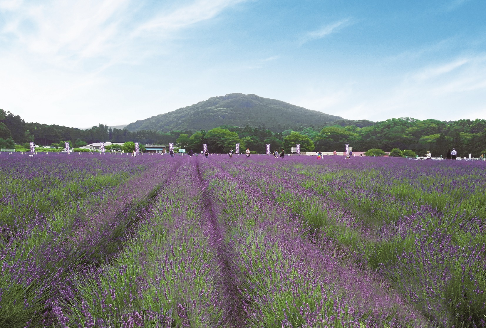 埼玉県嵐山町