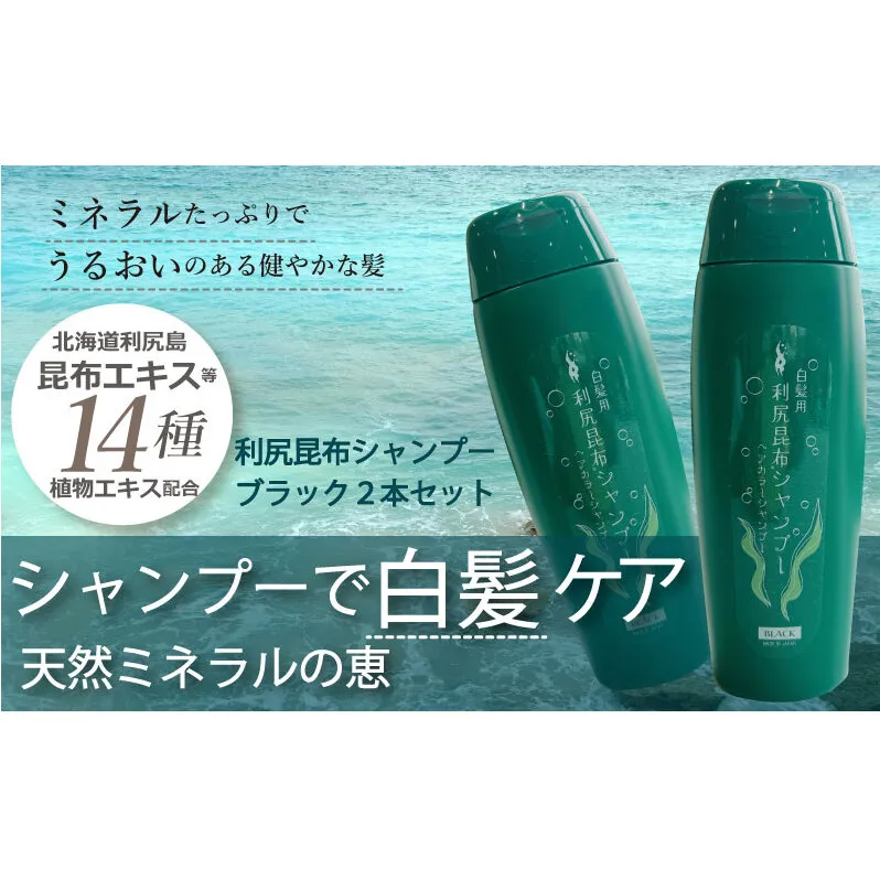 利尻昆布 ヘアカラー シャンプー ブラック 2本セット