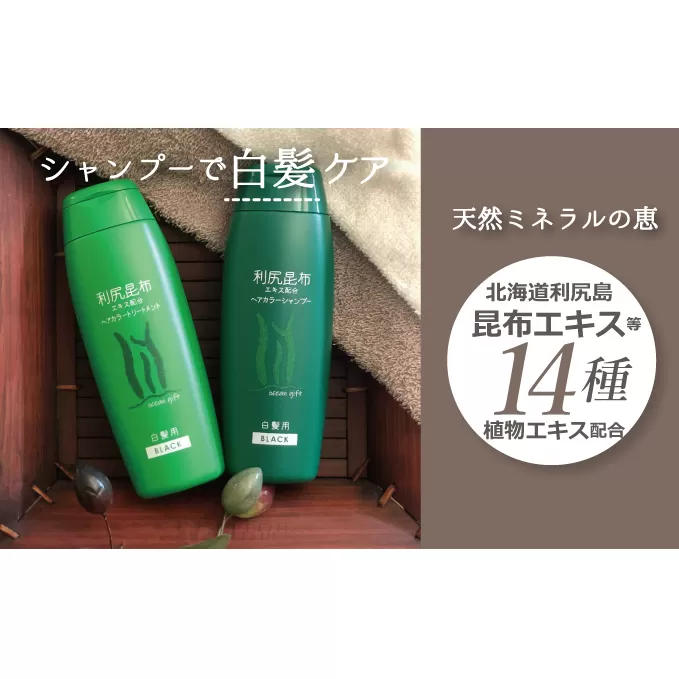 利尻昆布 ヘアカラー シャンプー トリートメント 白髪染め ブラウン　【 白髪 美容 白髪ケア 】 