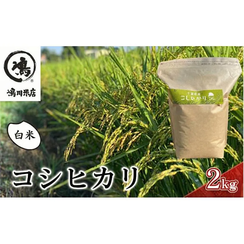 千葉産 コシヒカリ 白米 2kg　【 お米 コシヒカリ 米 白米 2kg 】