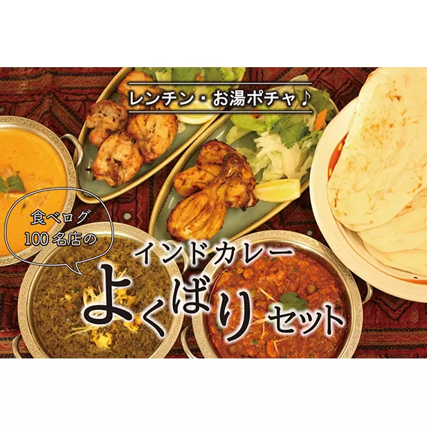 印度料理シタール インドカレーよくばりセット【カレー 加工食品 レトルト食品】 惣菜 簡単調理 