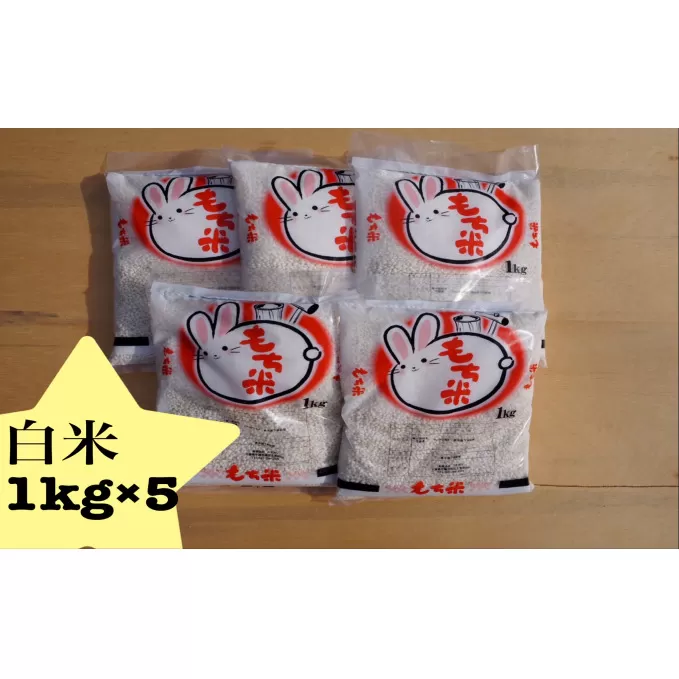  お米 千葉産 品種 マンゲツモチ 白米 5kg もち米【 もち米　白米　千葉 】