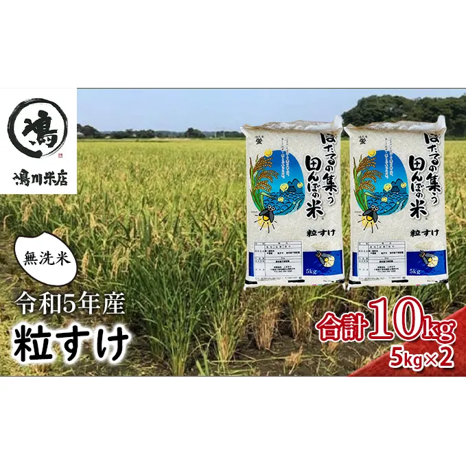 米 令和5年 新品種 粒すけ 10kg （ 5kg×2  ） 千葉産 乾式 無洗米　【 お米 こめ コメ おこめ 】