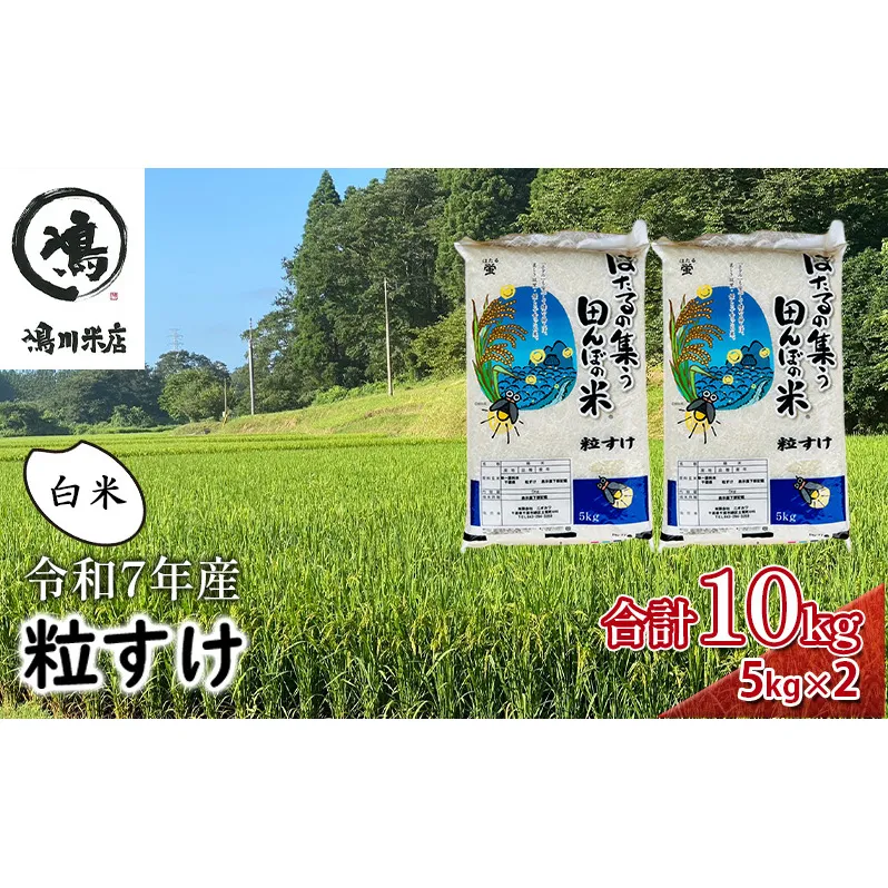 新米　令和7年  粒すけ 10kg （ 5kg×2  ） 千葉産 白米　【 お米 こめ コメ おこめ 】 