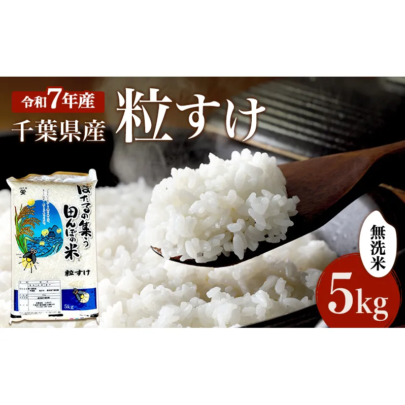 新米　令和7年 粒すけ 5kg 千葉産 乾式 無洗米　【 お米 こめ コメ おこめ 】
