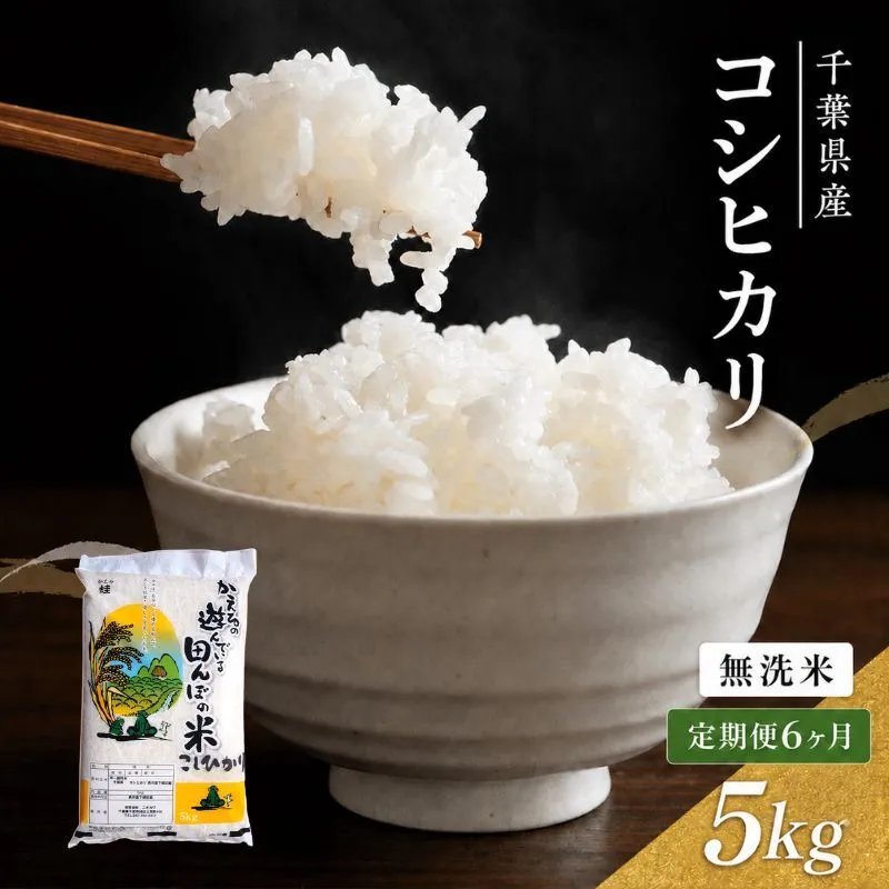 令和7年産　6ヶ月定期便　コシヒカリ　無洗米　5kg　【定期便・ お米 精米 粘りつやつや 甘み 美味しい 新鮮 】
