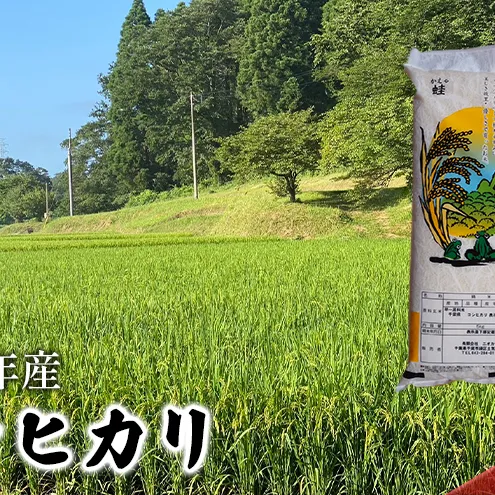 【令和8年産】 コシヒカリ　白米　5kg お米 精米 粘りつやつや 甘み 美味しい 新鮮