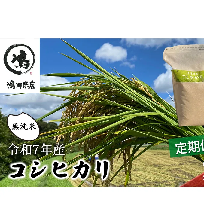 令和7年 3ヶ月定期便　コシヒカリ　無洗米　2kg　【定期便 お米 無洗米 粘り甘み】 精米 粘りつやつや 美味しい 新鮮