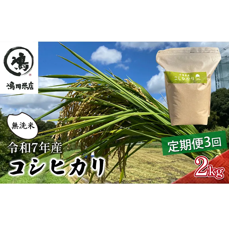 令和7年 3ヶ月定期便　コシヒカリ　無洗米　2kg　【定期便 お米 無洗米 粘り甘み】 精米 粘りつやつや 美味しい 新鮮