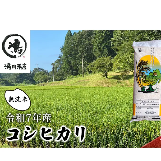 新米　令和7年  コシヒカリ　無洗米　5kg お米 精米 粘りつやつや 甘み 美味しい 新鮮 