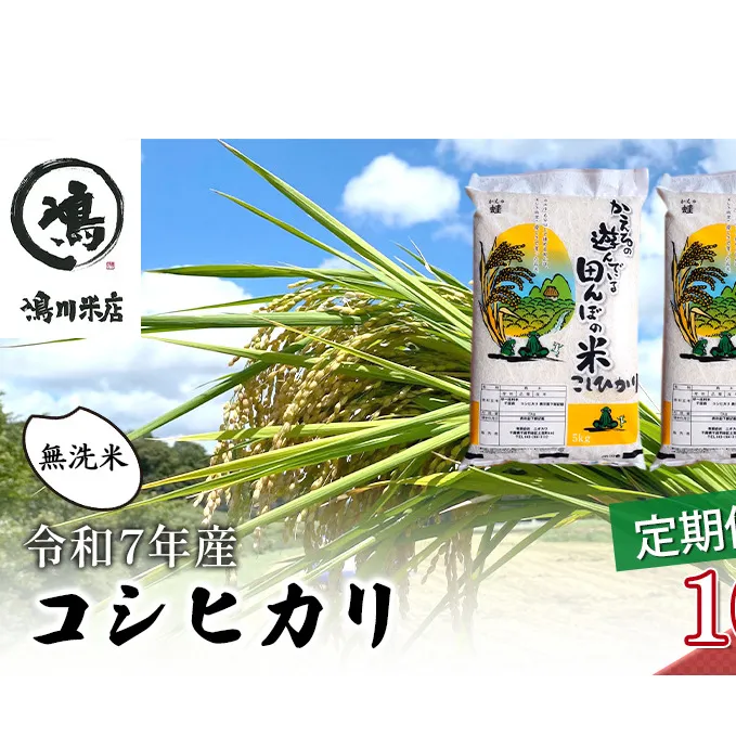 令和7年 3ヶ月定期便　コシヒカリ　無洗米　10kg（5kg×2）【定期便 お米  粘り甘み】 精米 粘りつやつや 美味しい 新鮮
