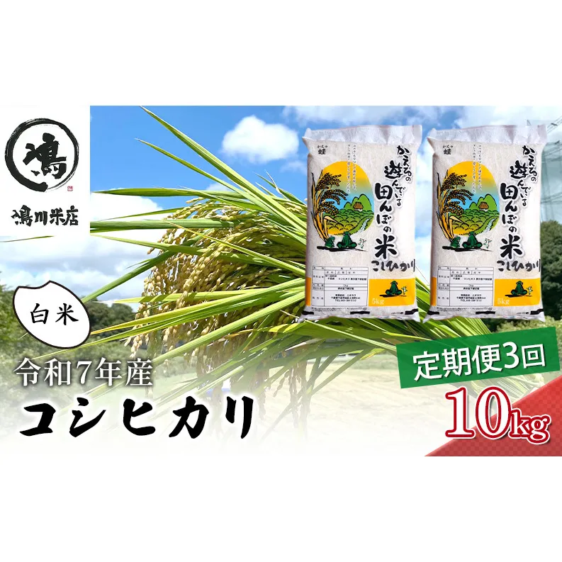令和7年 3ヶ月定期便　コシヒカリ　白米　10kg（5kg×2）【定期便 お米 白米 粘り甘み】 精米 粘りつやつや 美味しい 新鮮