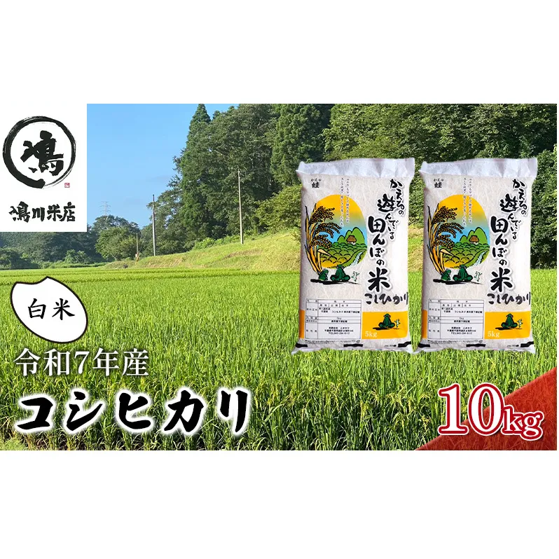最短出荷 2日から7日以内に発送 令和7年 コシヒカリ　白米　10kg お米 精米 粘りつやつや 甘み 美味しい 新鮮
