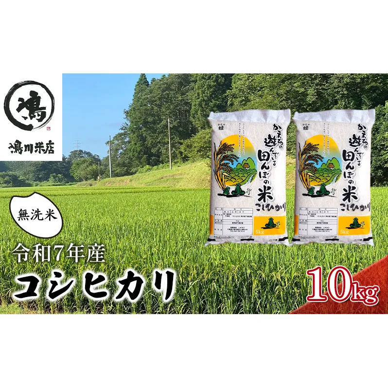 最短出荷 2日から7日以内に発送 令和7年 コシヒカリ　無洗米　10kg お米 精米 粘りつやつや 甘み 美味しい 新鮮