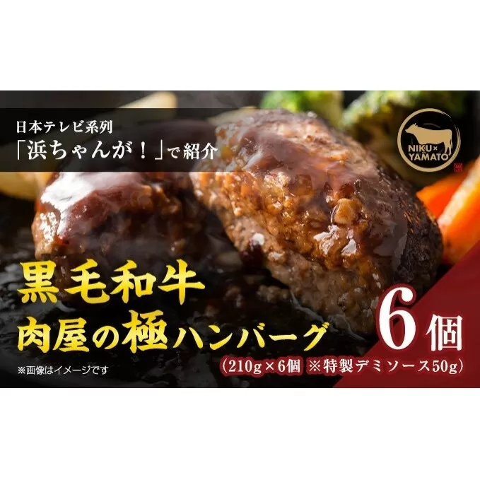 自家製ー極ーハンバーグ（6個入り）【 お肉 ハンバーグ 真空冷凍 】